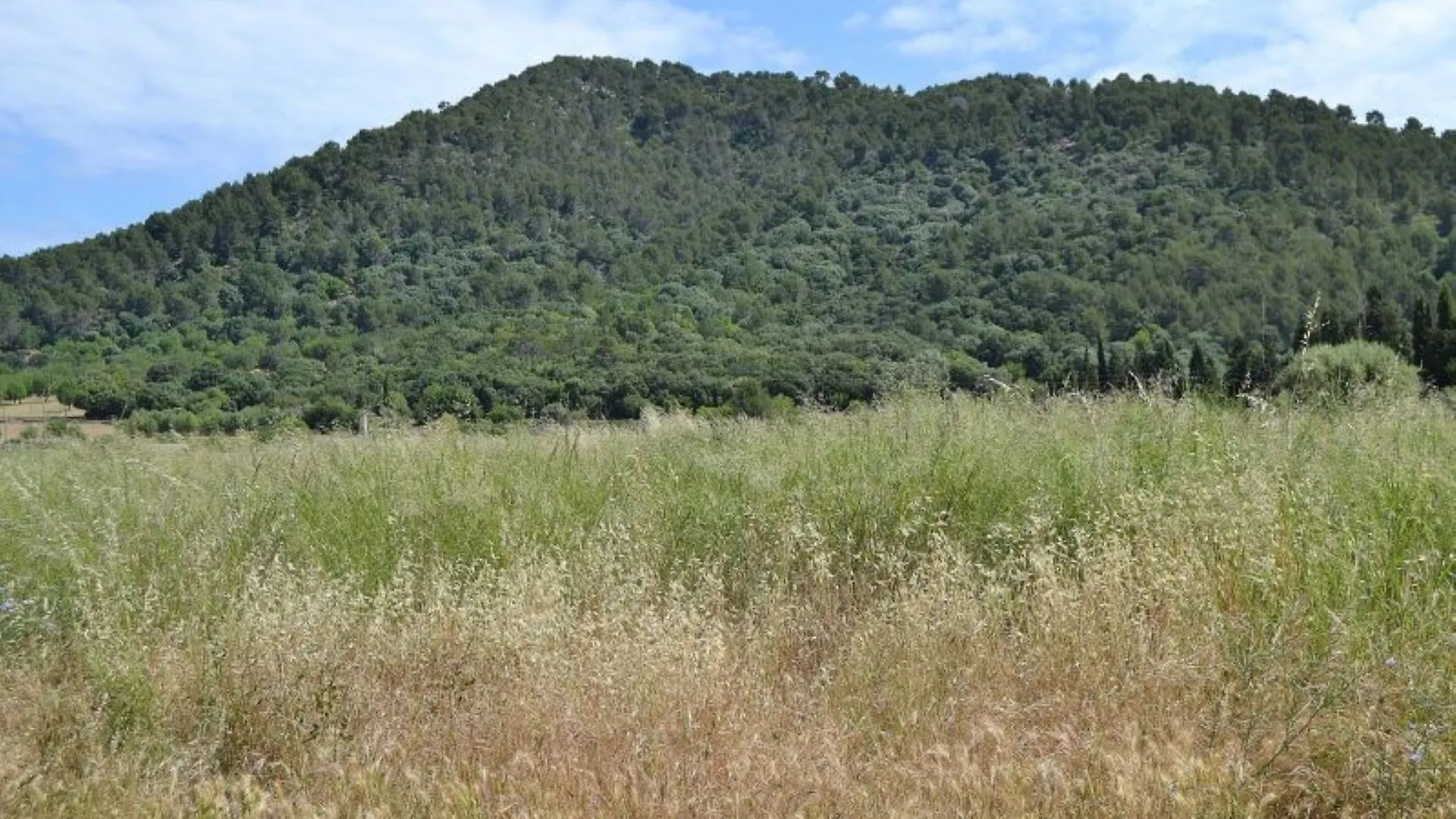 Villa Sa Pobla 040